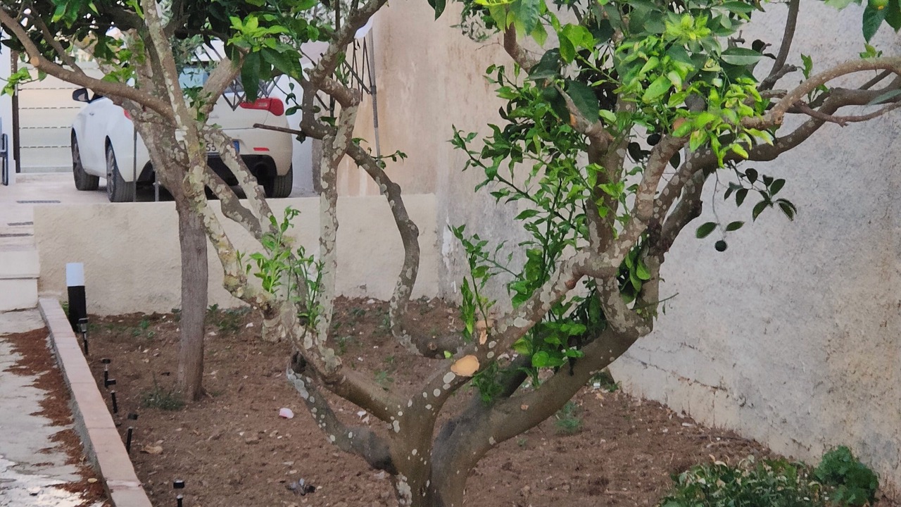 Photo of Outdoor in Marsala