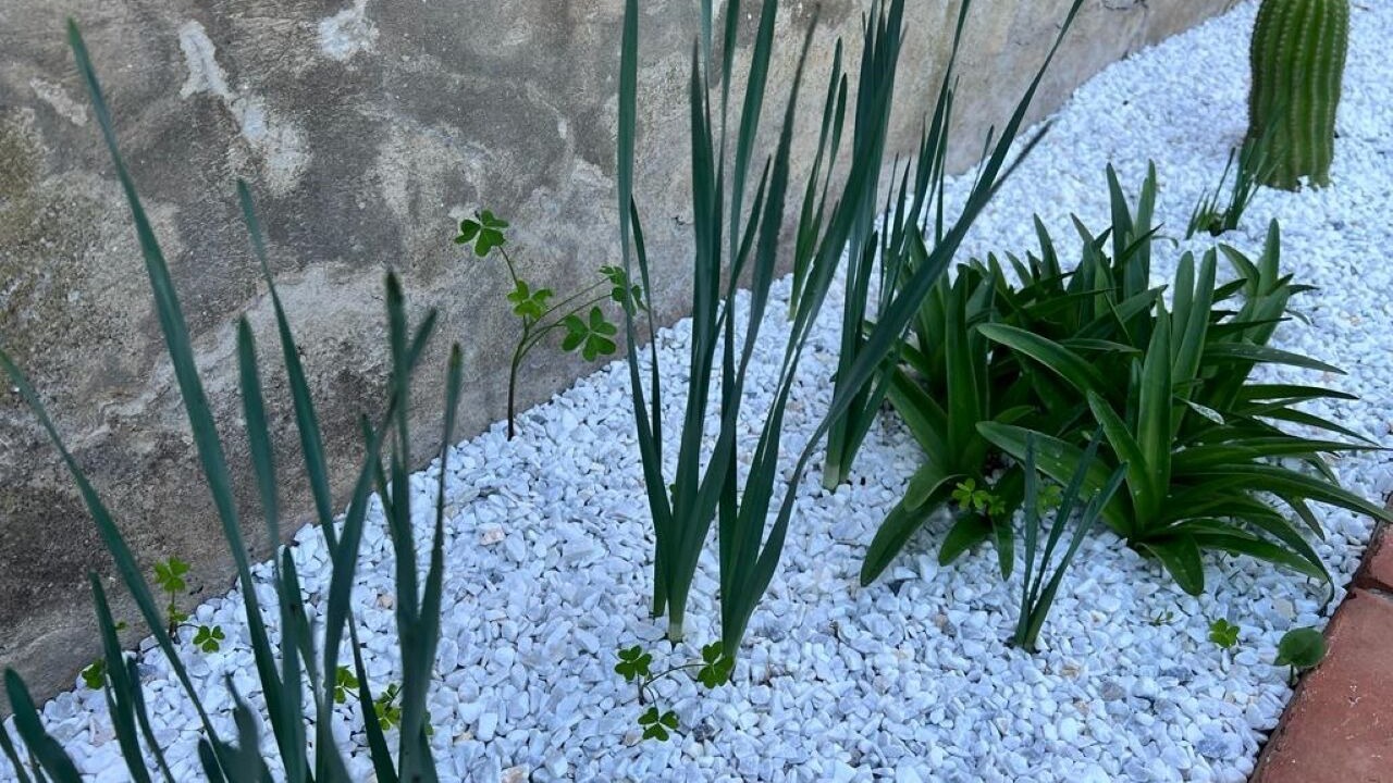 Photo of Outdoor in Trabia
