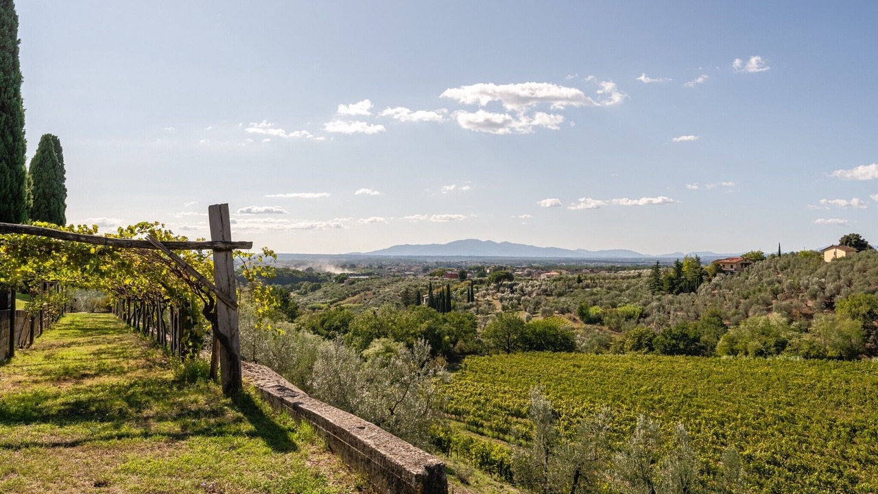 Photo of Others in Lamporecchio