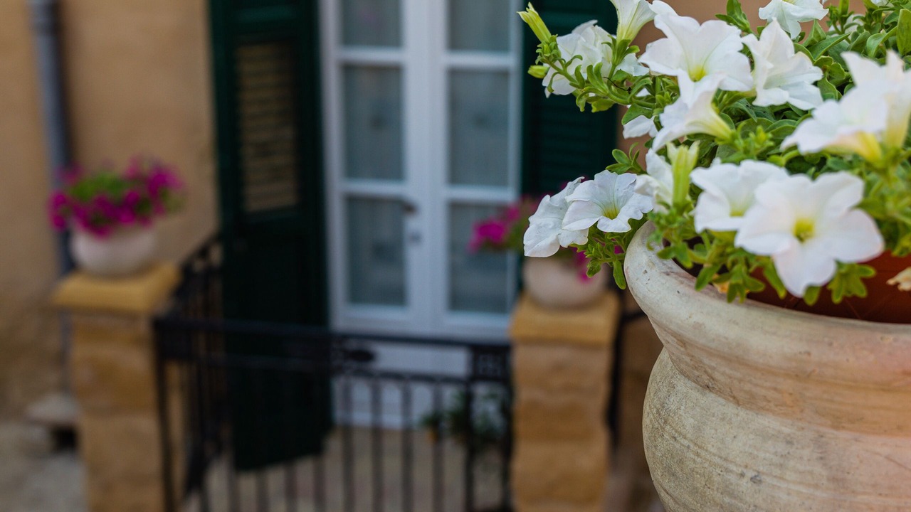 Photo of Outdoor in Agrigento