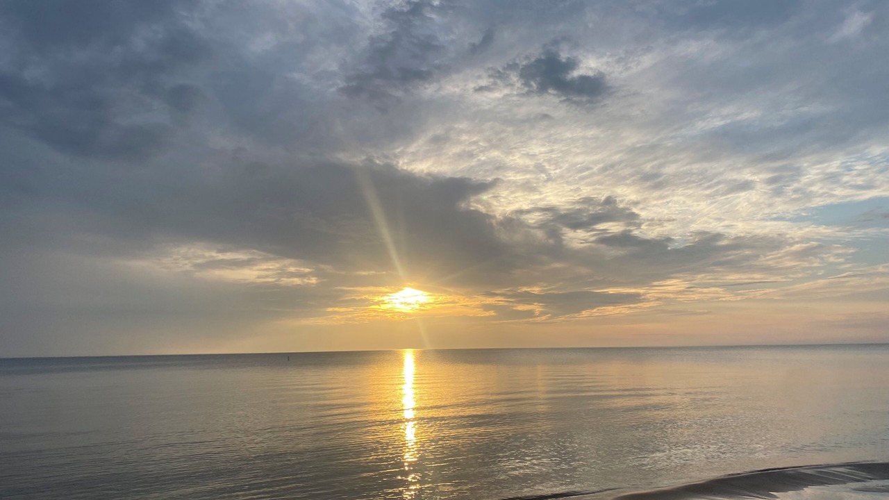 Photo of Others in Wasaga Beach