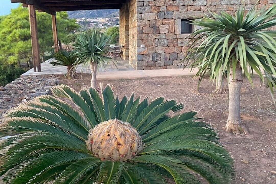 Photo of Outdoor in Rekhale