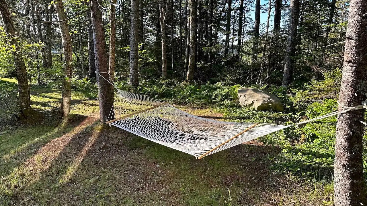 Photo of Outdoor in Clare