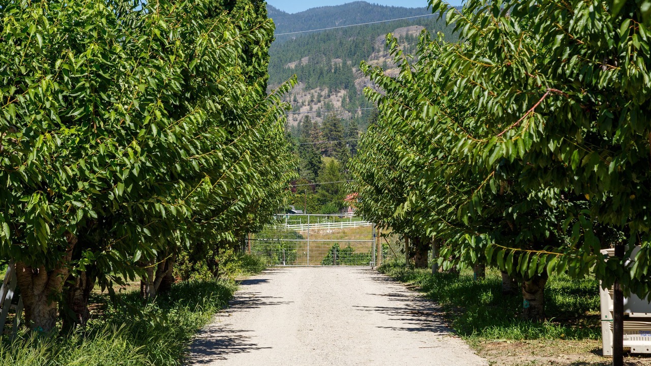 Photo of Outdoor in Okanagan-Similkameen
