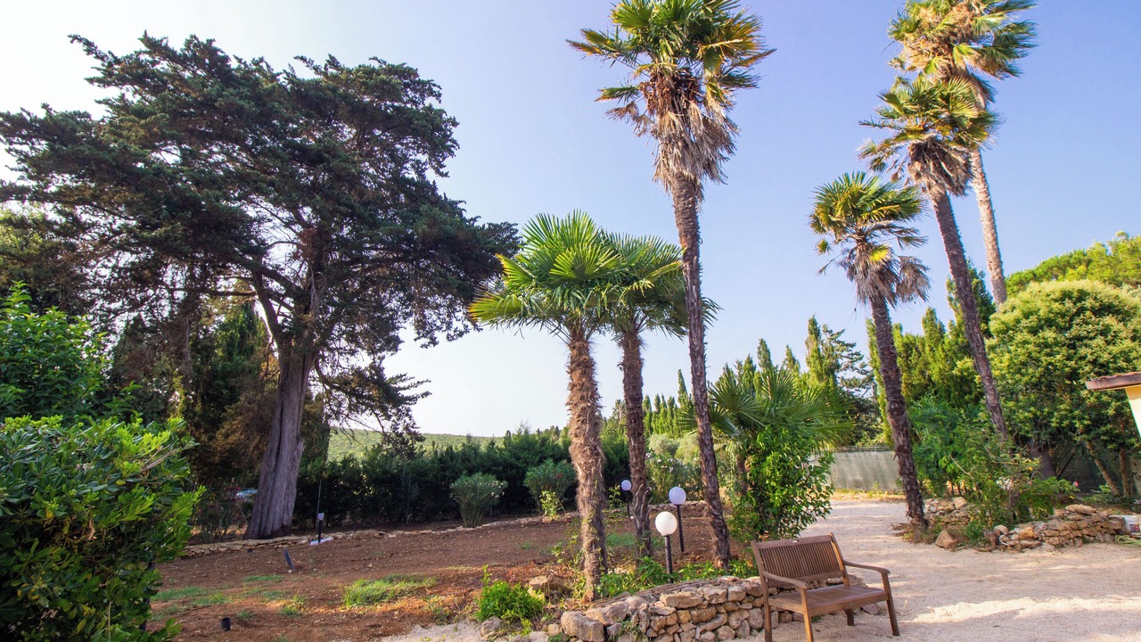 Photo of Outdoor in Santa Maria La Palma