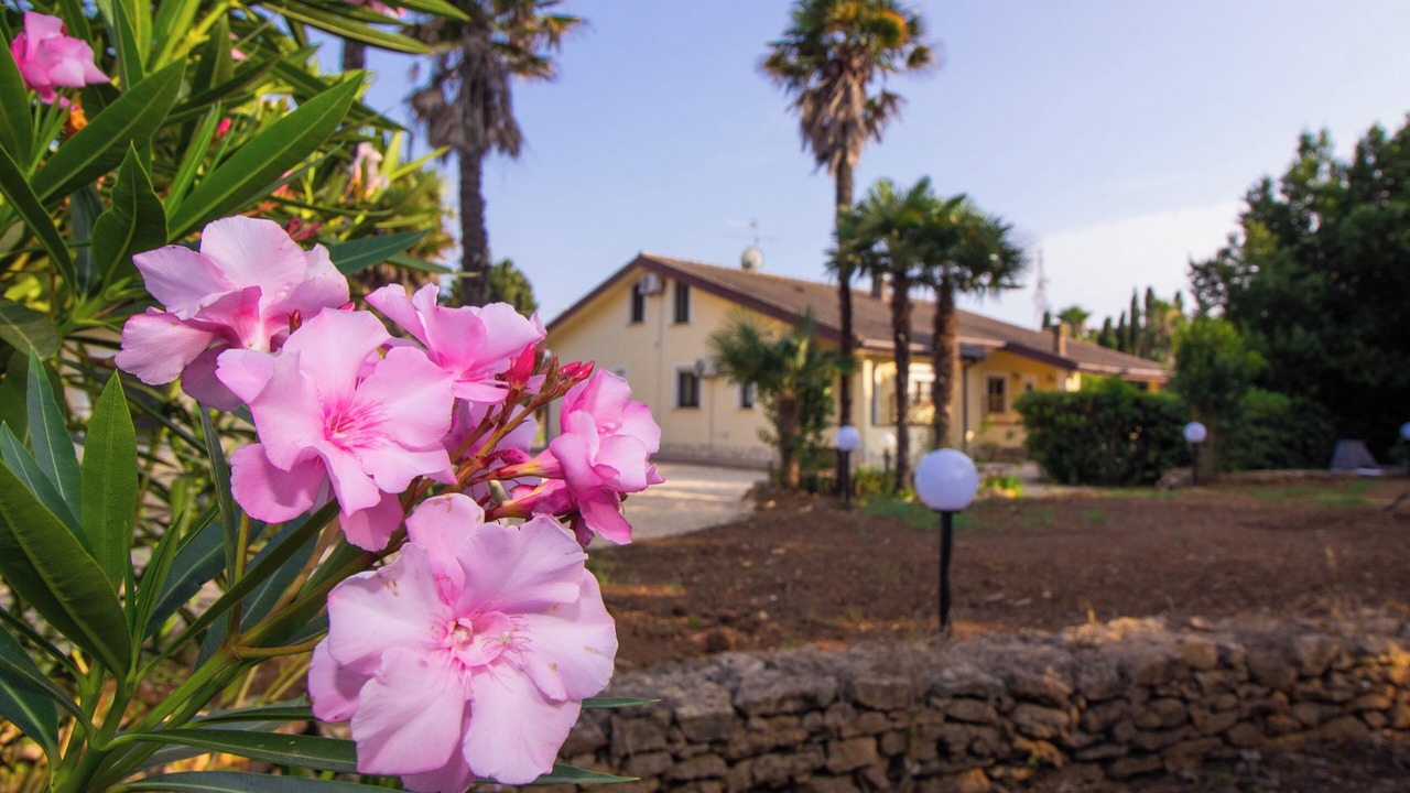 Photo of Outdoor in Santa Maria La Palma