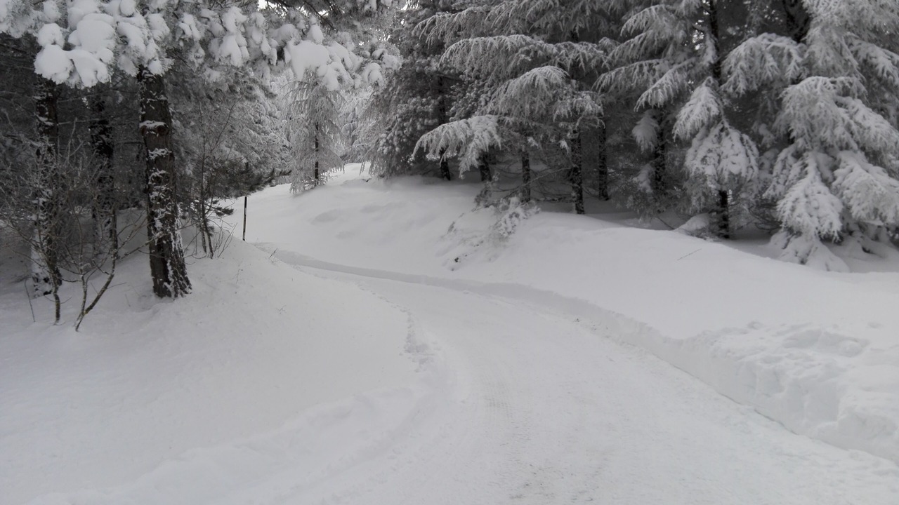 Photo of Outdoor in Cammarata