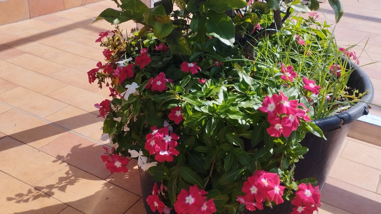 Photo of Outdoor in Nettuno