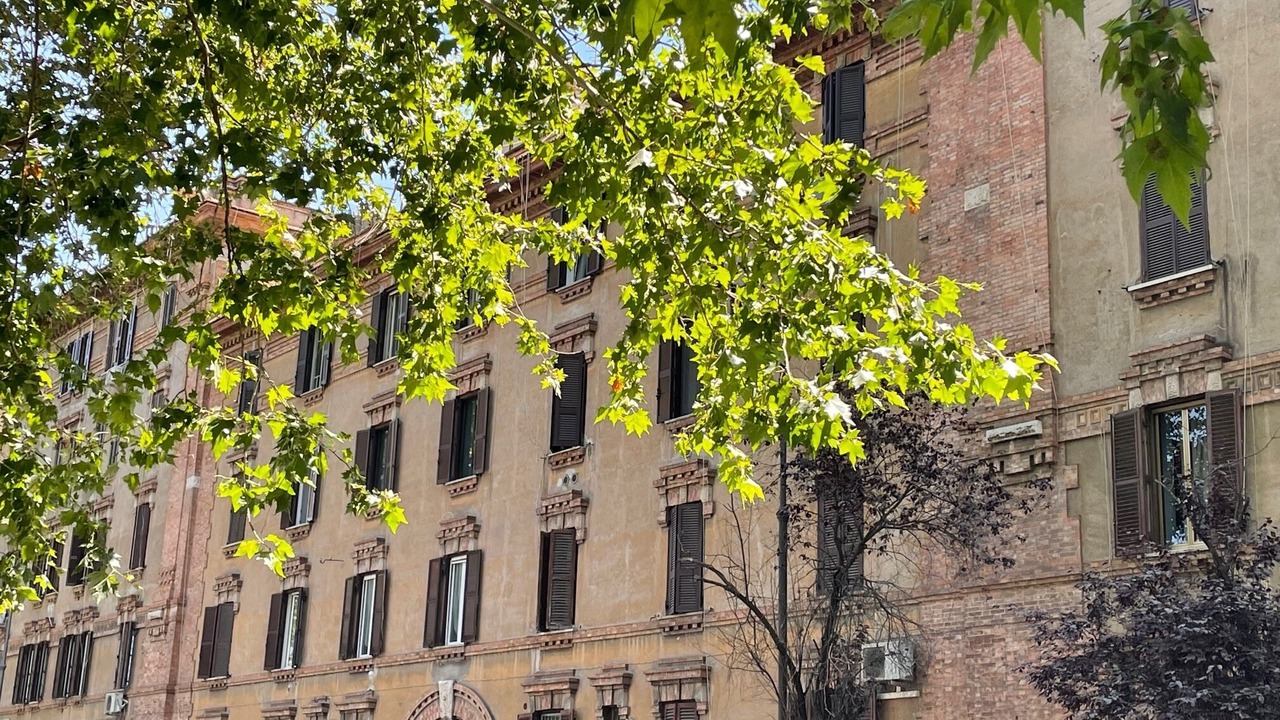 Photo of Others in Testaccio