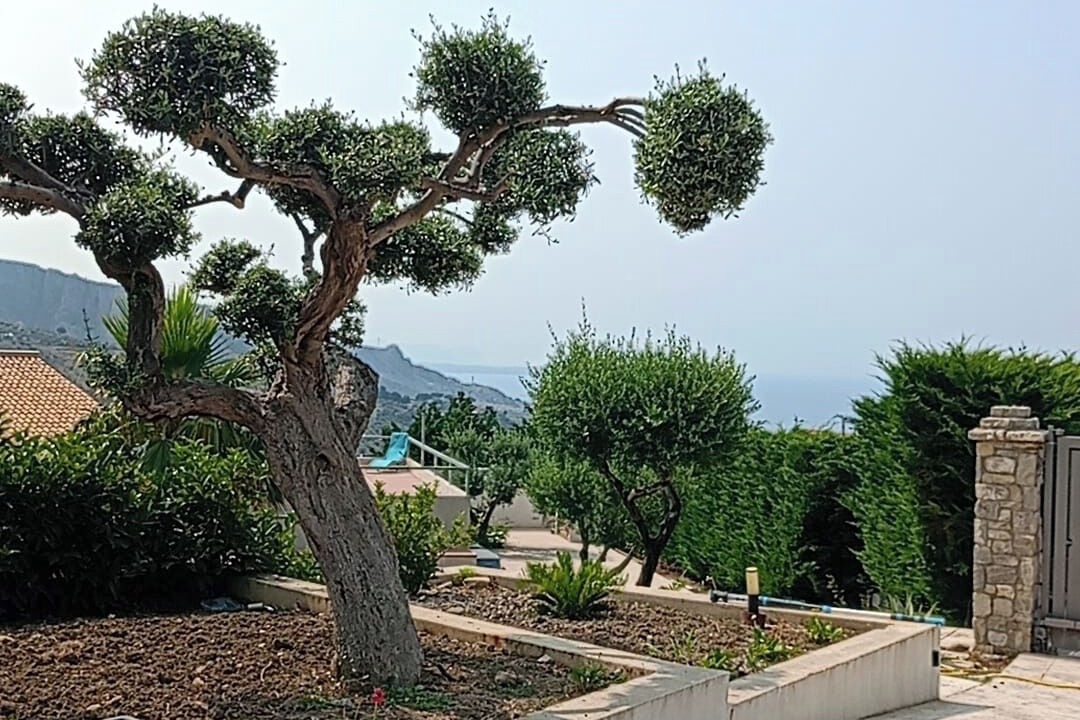 Photo of Outdoor in Termini Imerese