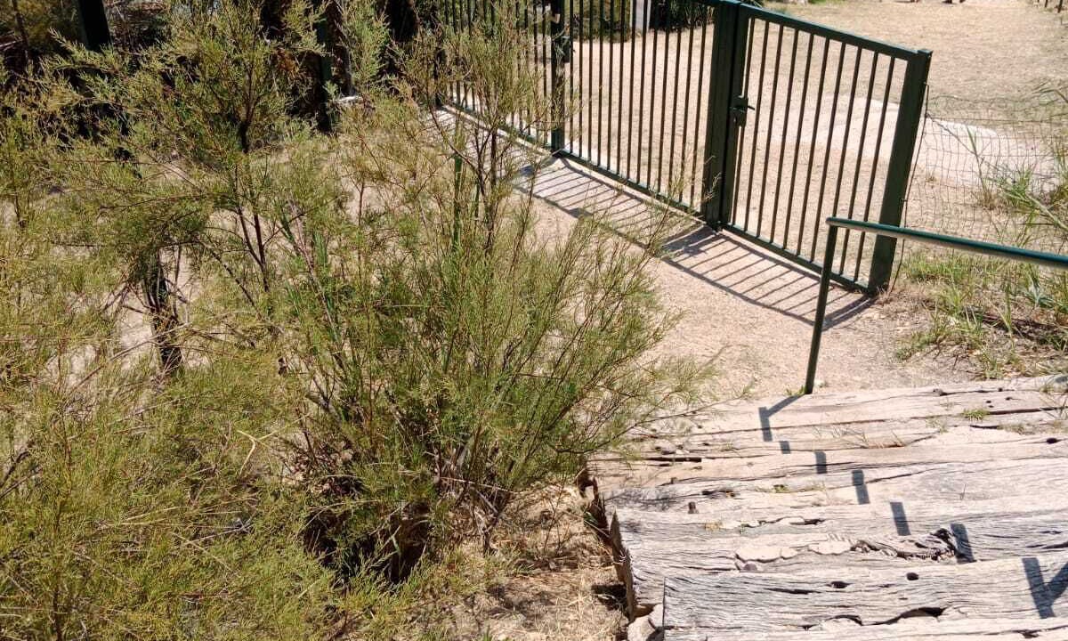 Photo of Outdoor in Scopello