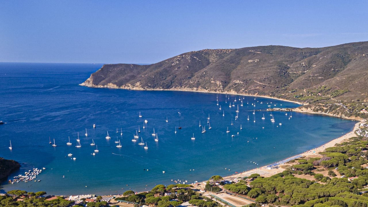 Photo of Others in Lacona