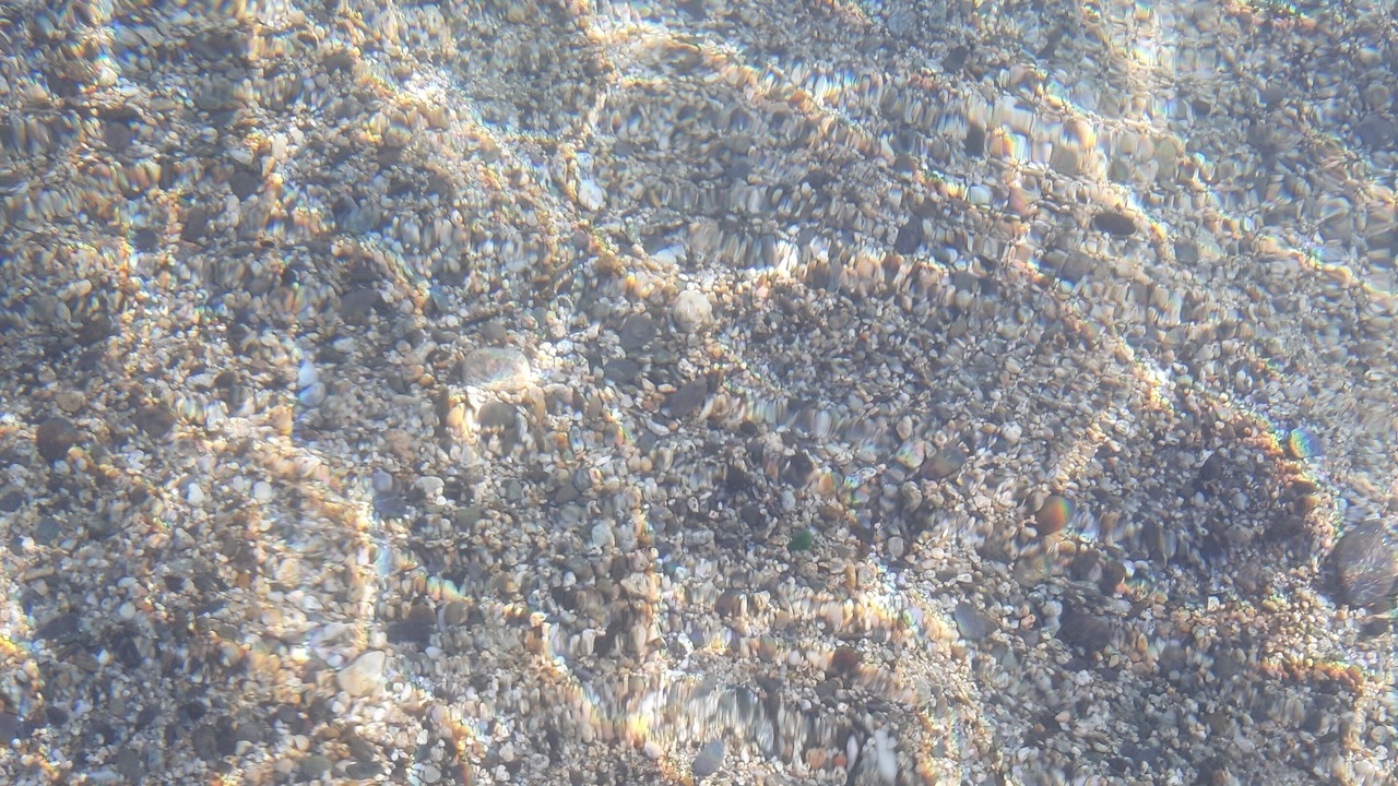 Photo of Others in Isca Marina