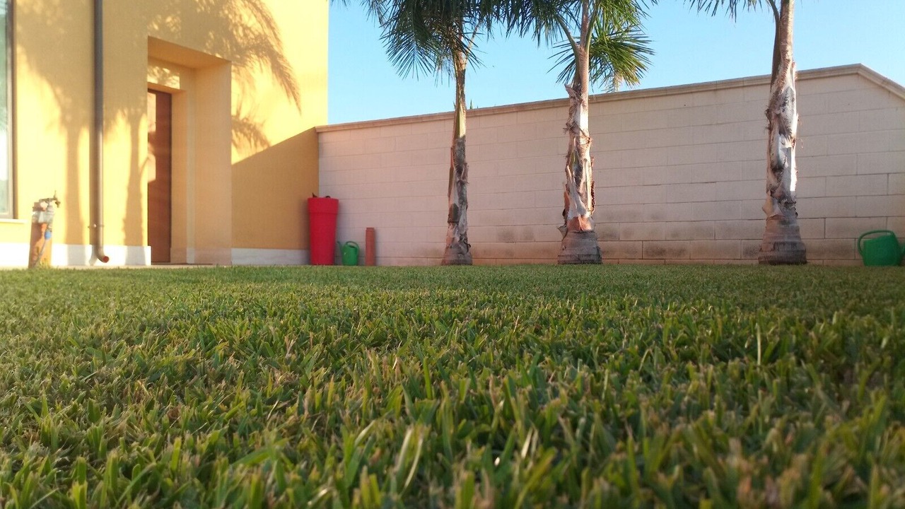 Photo of Outdoor in Alcamo Historic Center