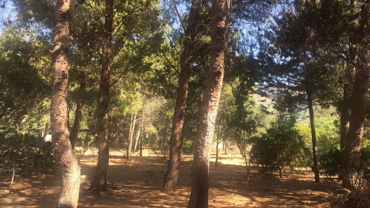 Photo of Outdoor in Macari
