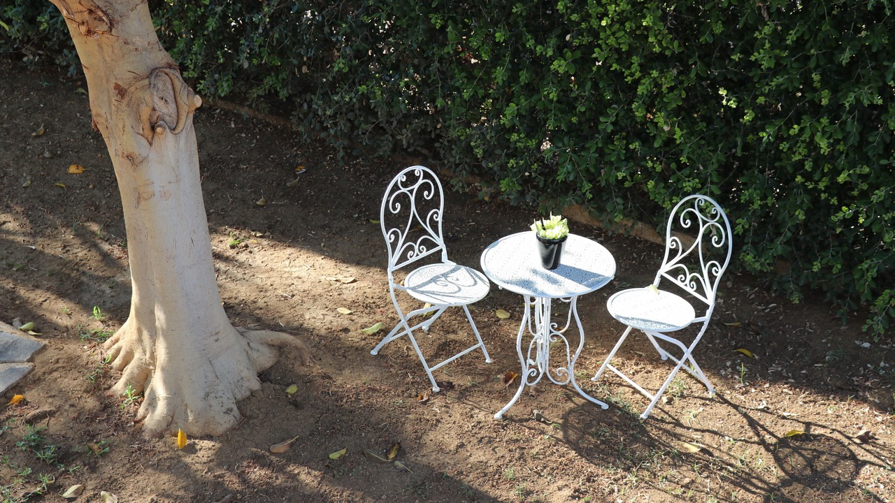 Photo of Outdoor in Carini