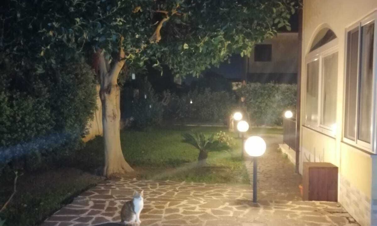 Photo of Outdoor in Carini