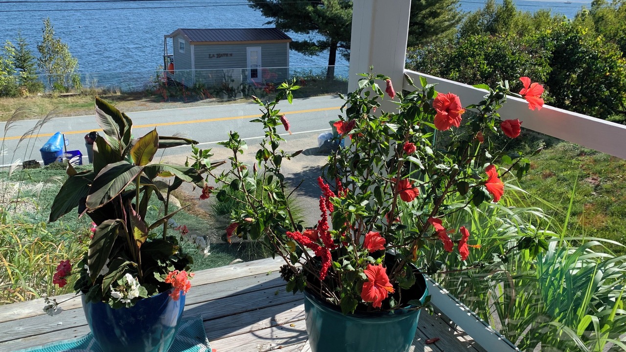 Photo of Outdoor in West LaHave
