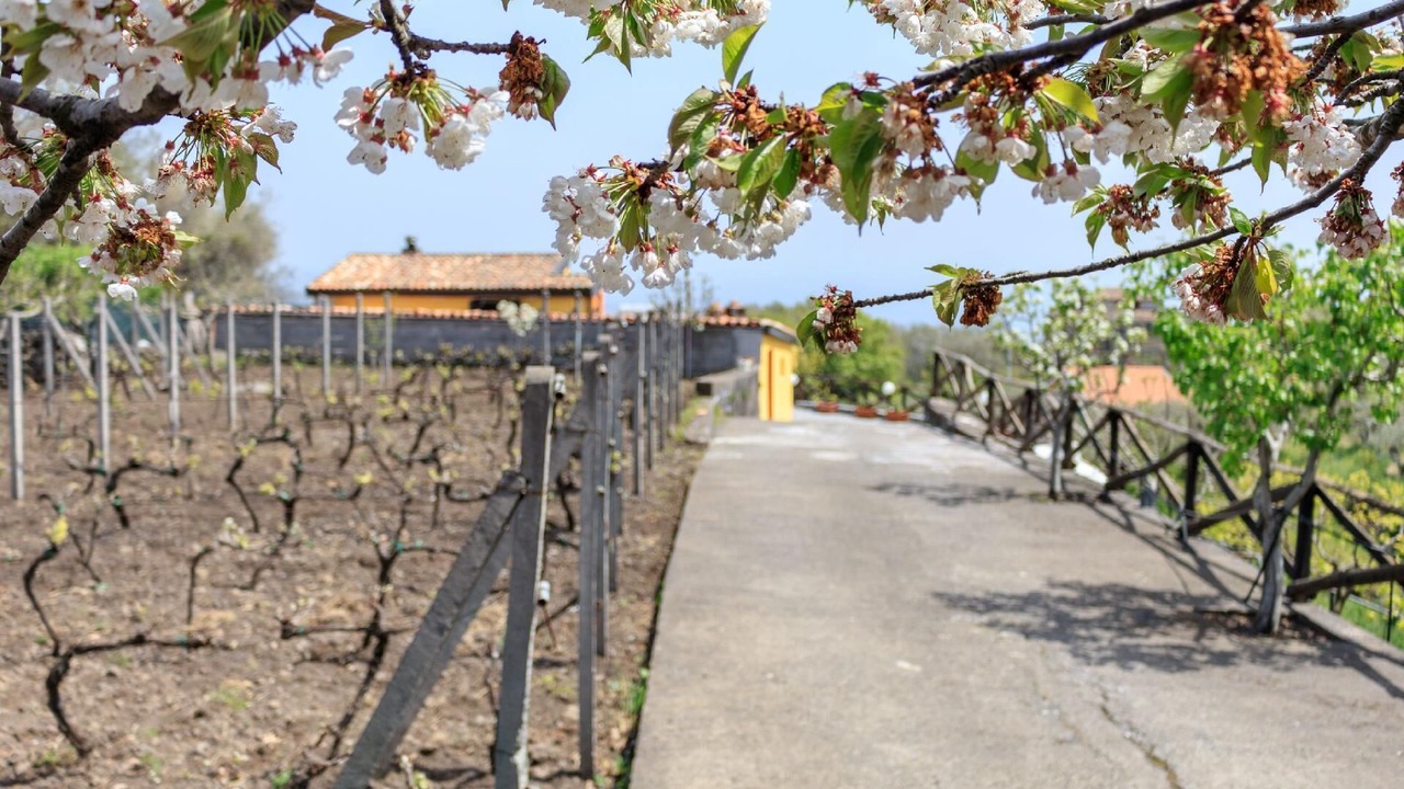 Photo of Outdoor in Piedimonte Etneo