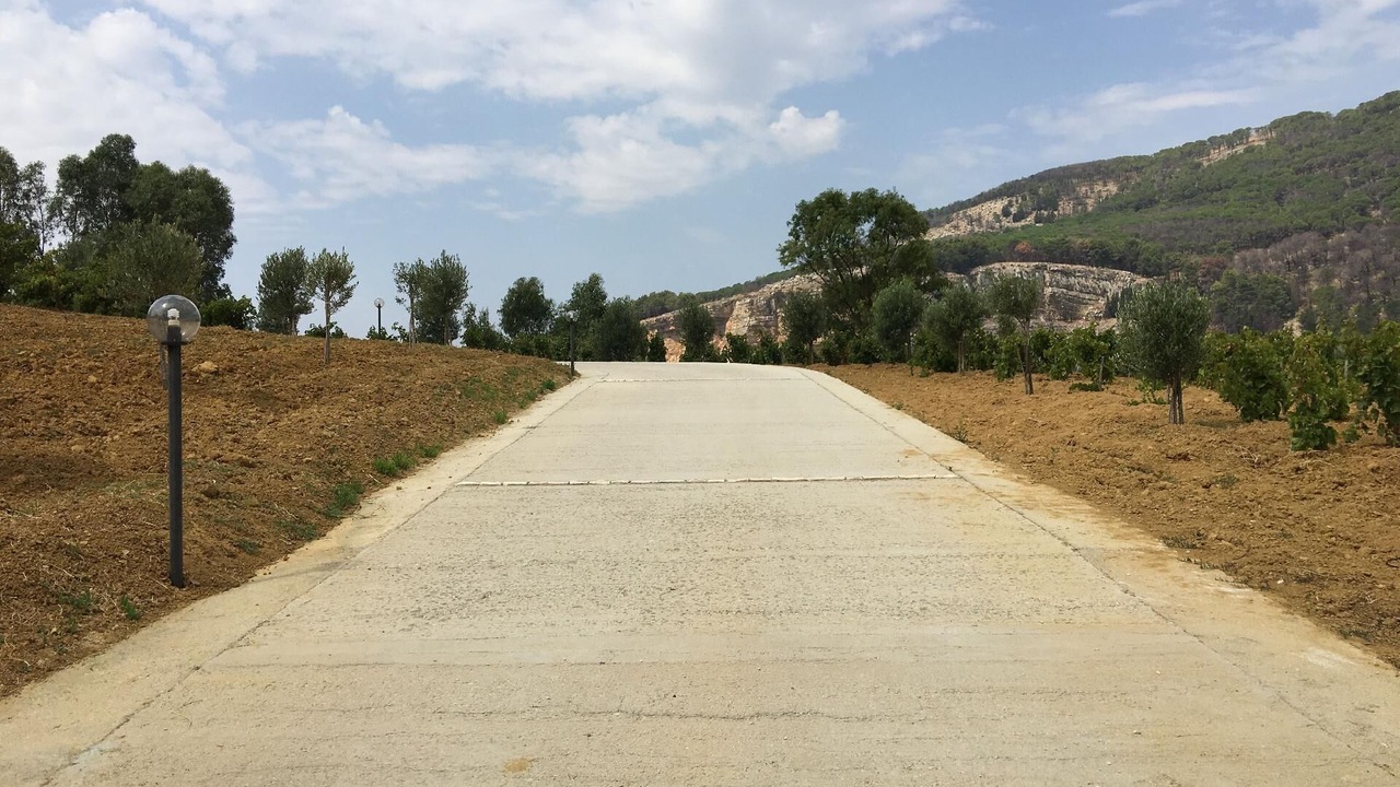 Photo of Outdoor in Alcamo