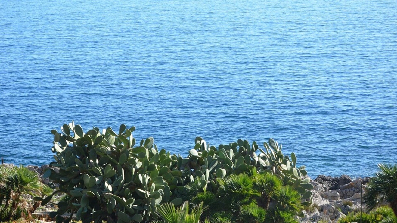 Photo of Others in Zarbo di Mare