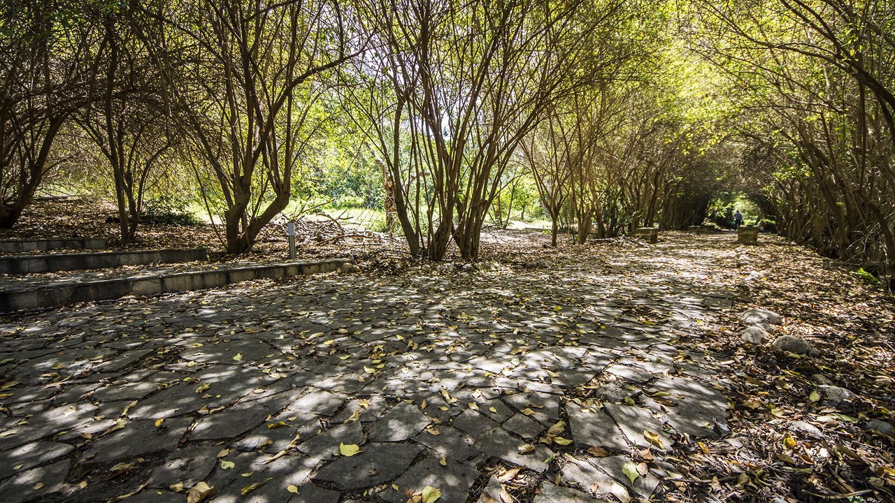 Photo of Outdoor in Terrasini