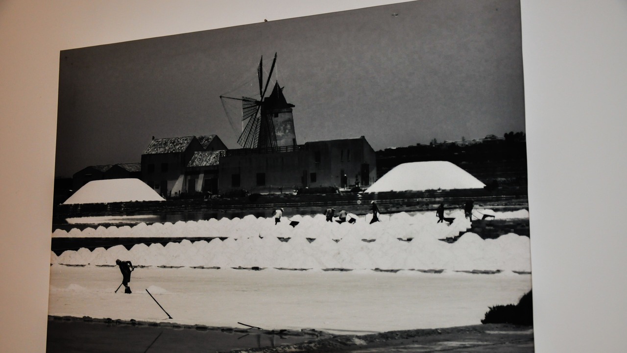 Photo of Others in Trapani