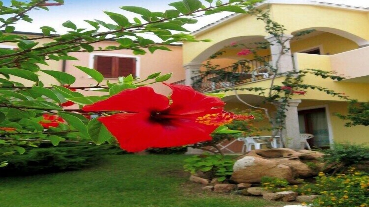 Photo of Outdoor in Badesi