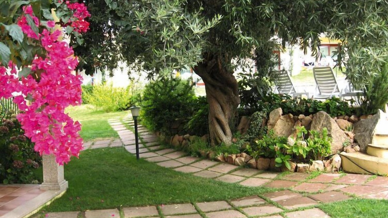 Photo of Outdoor in Badesi