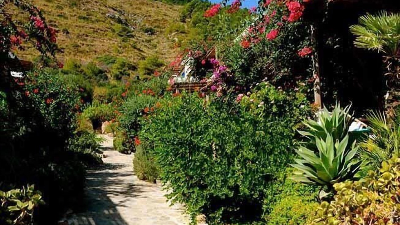 Photo of Outdoor in Marettimo