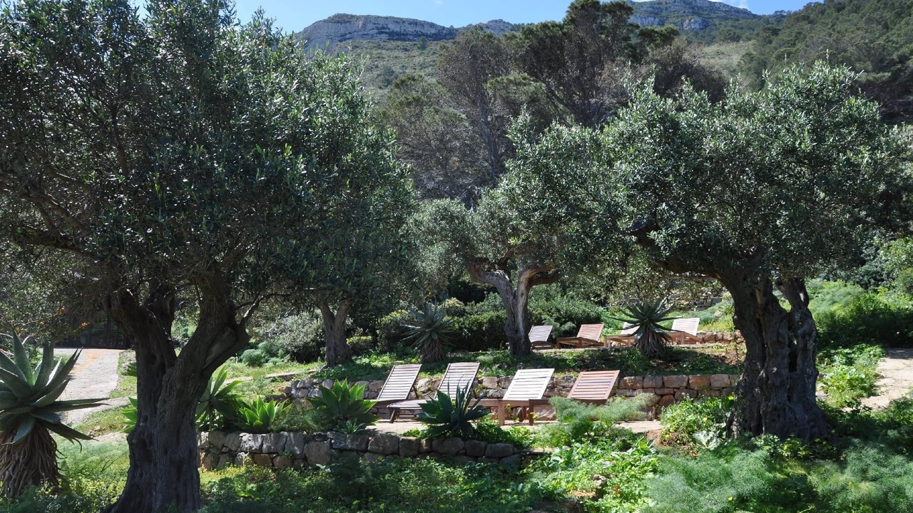 Photo of Outdoor in Marettimo