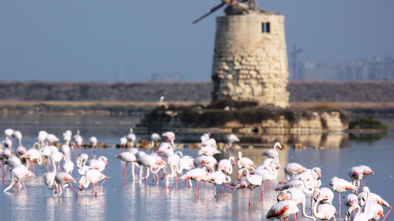 Photo of Outdoor in Mazara del Vallo
