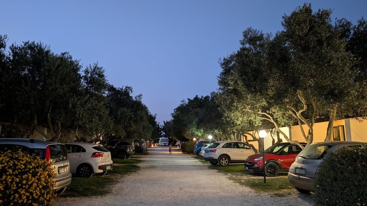 Photo of Others in Marsala