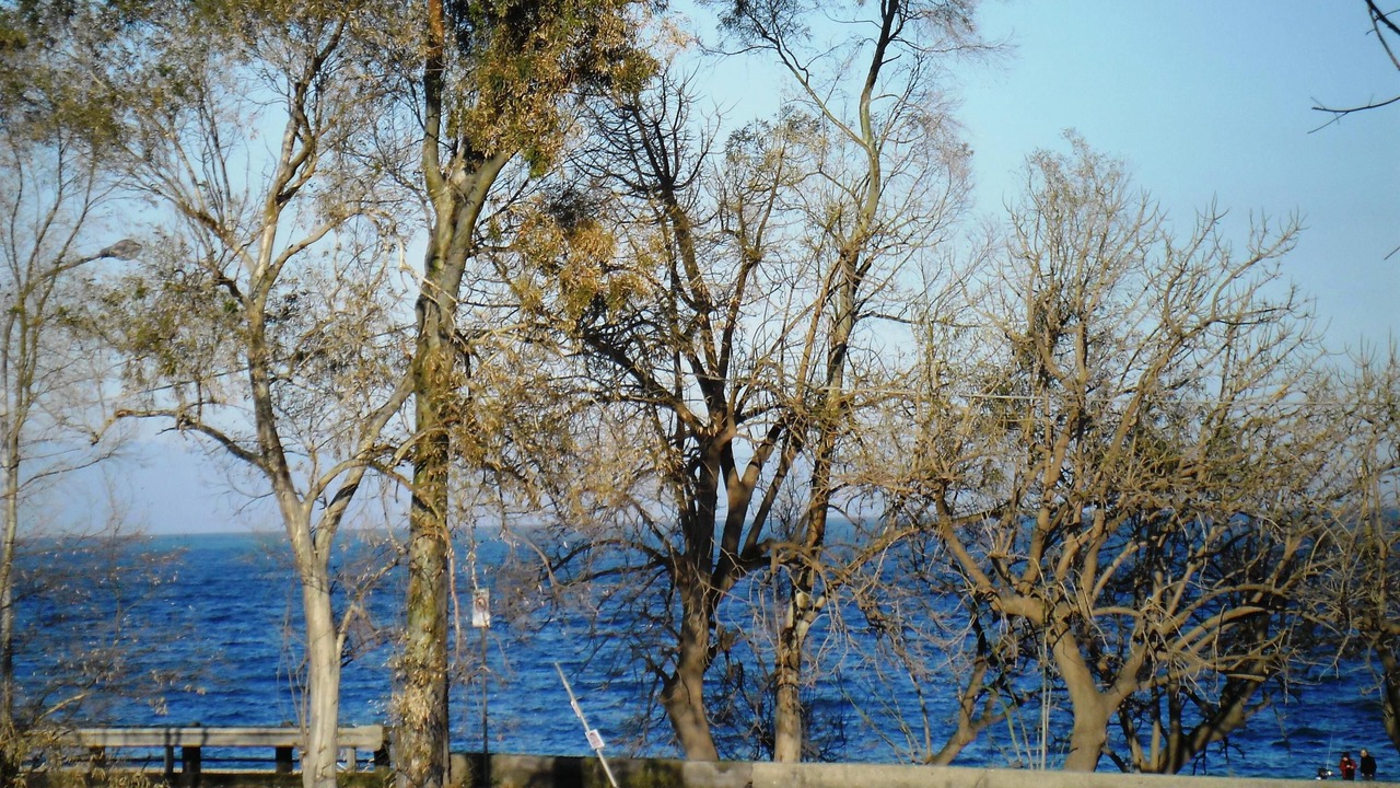 Photo of Others in Sant'Anna