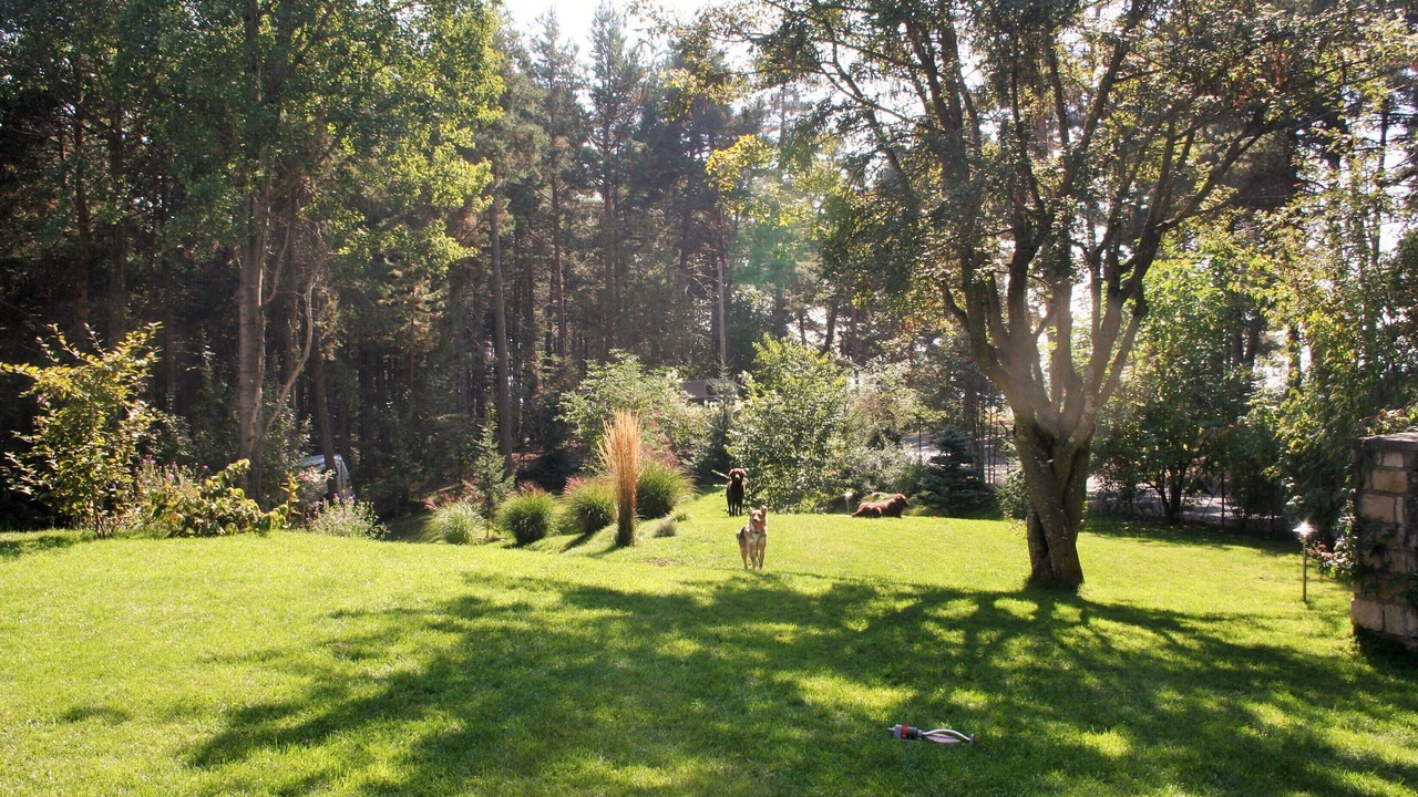 Photo of Outdoor in San Genesio Atesino