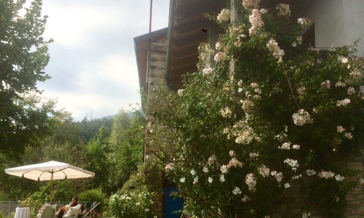 Photo of Patio Balcony in Netro