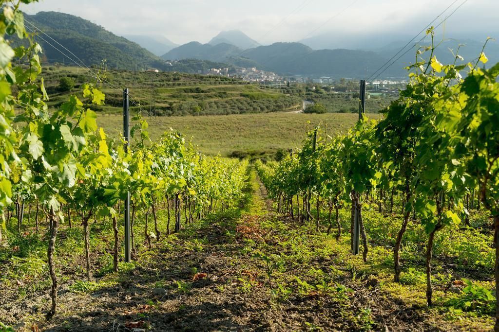 Photo of Outdoor in Rodi Milici