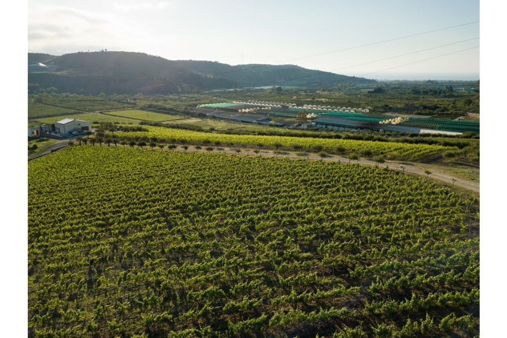 Photo of Outdoor in Rodi Milici