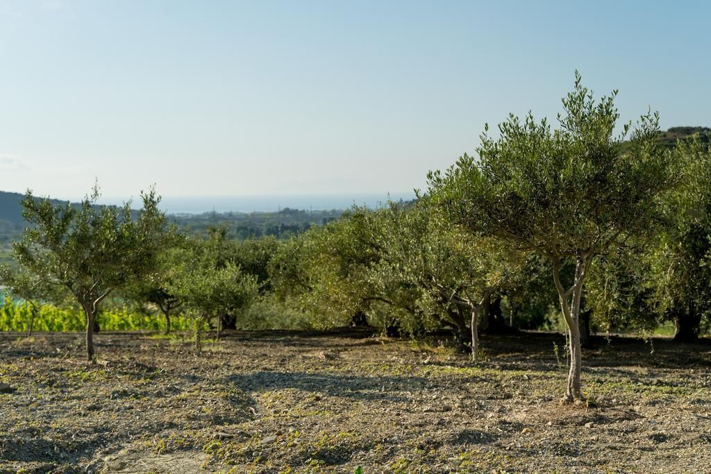 Photo of Outdoor in Rodi Milici