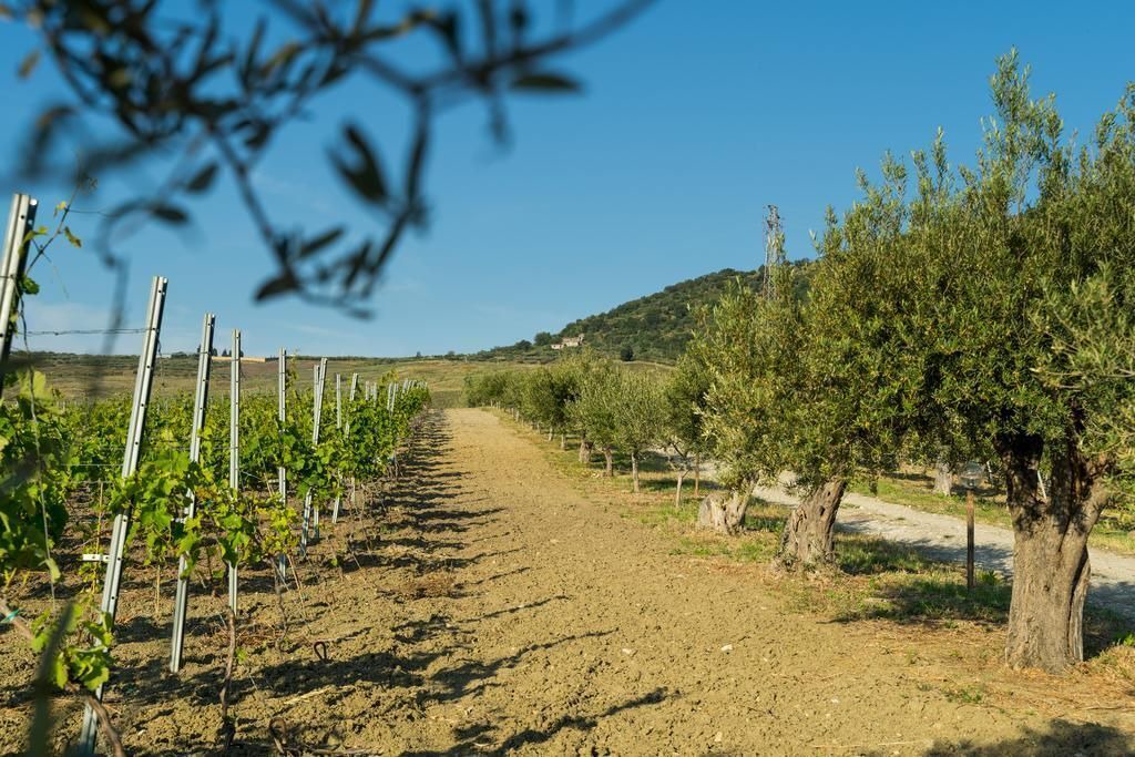 Photo of Outdoor in Rodi Milici