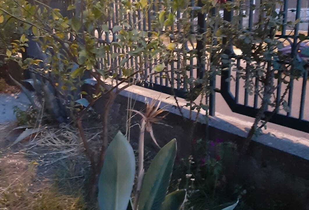 Photo of Outdoor in Francavilla di Sicilia