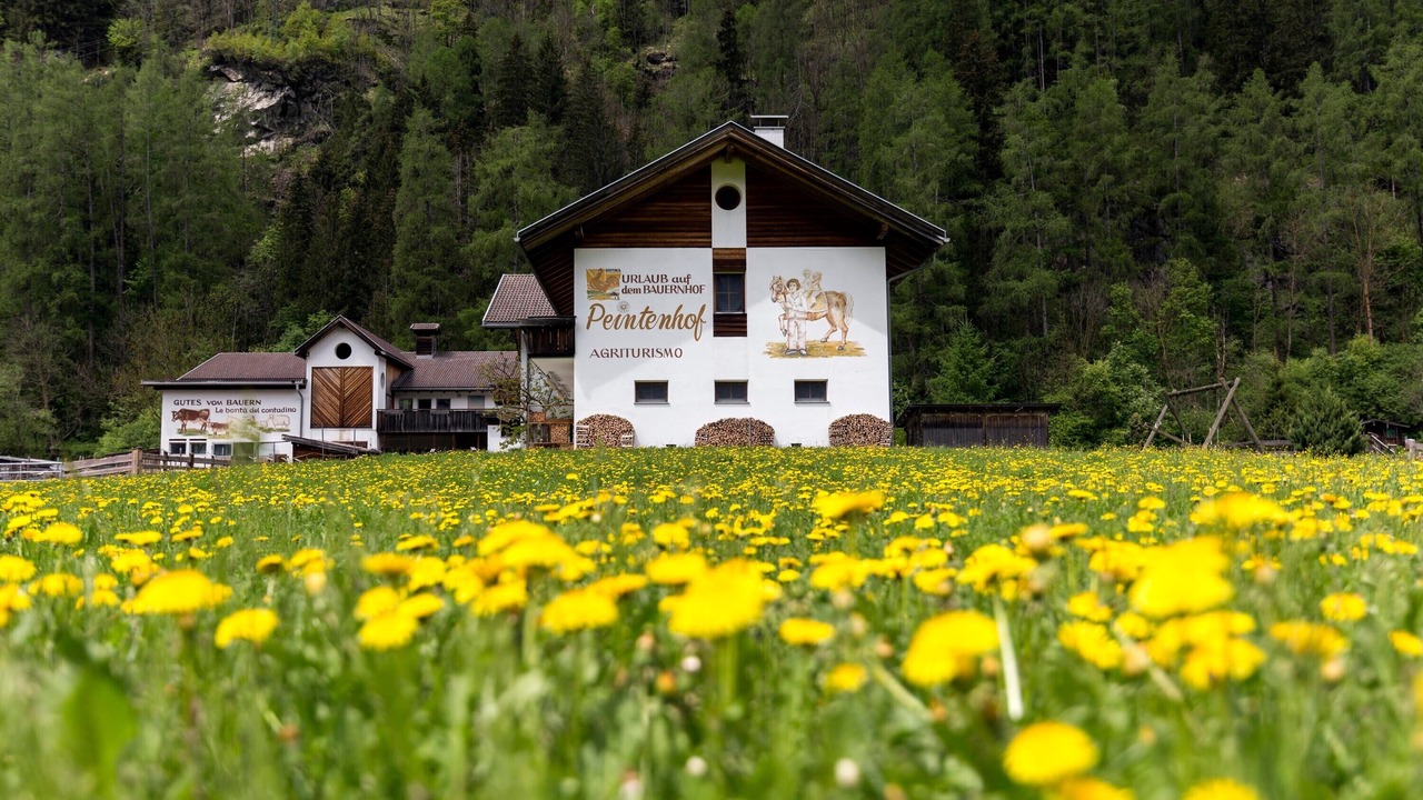 Photo of Outdoor in Campo Tures