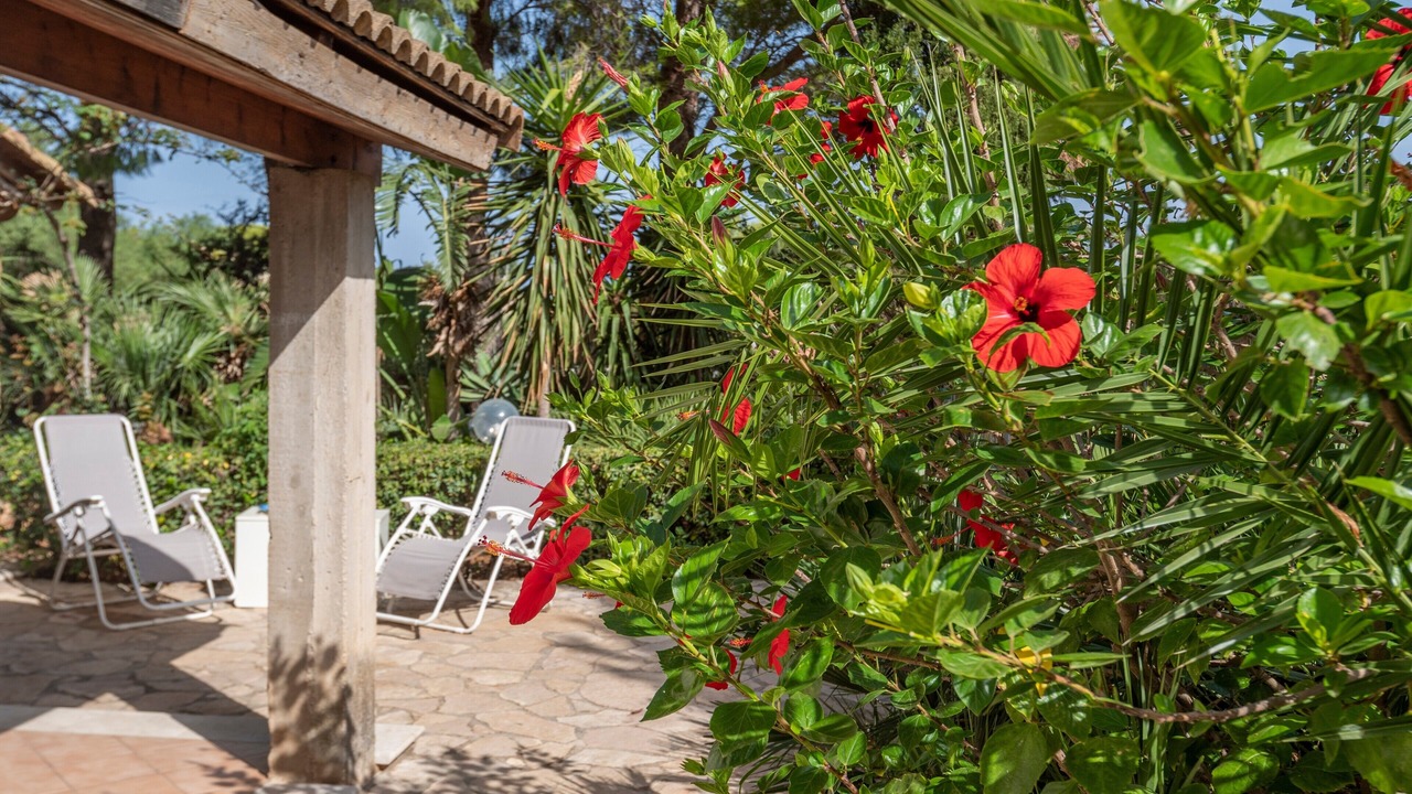Photo of Patio Balcony in Custonaci