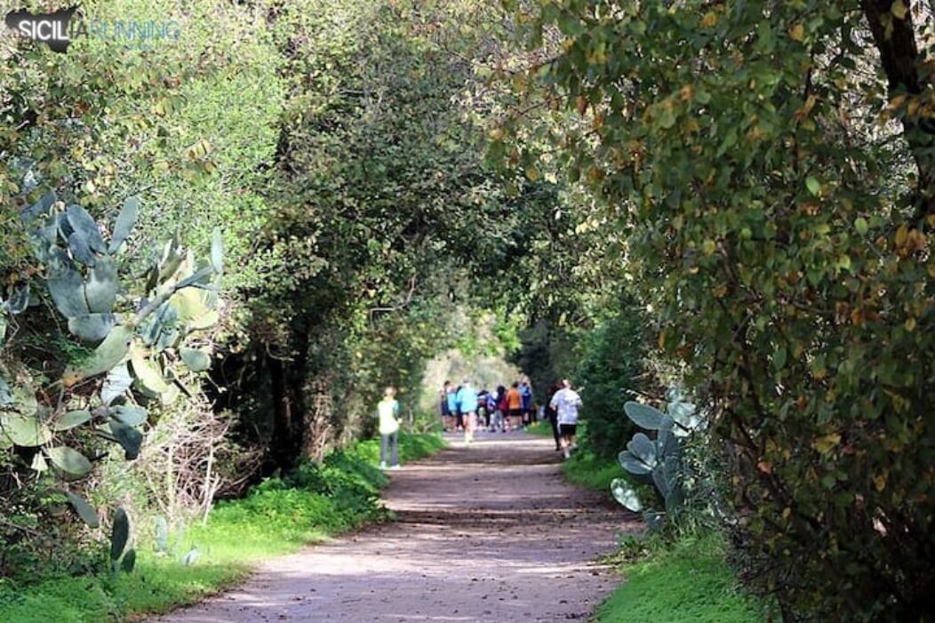 Photo of Others in Palermo