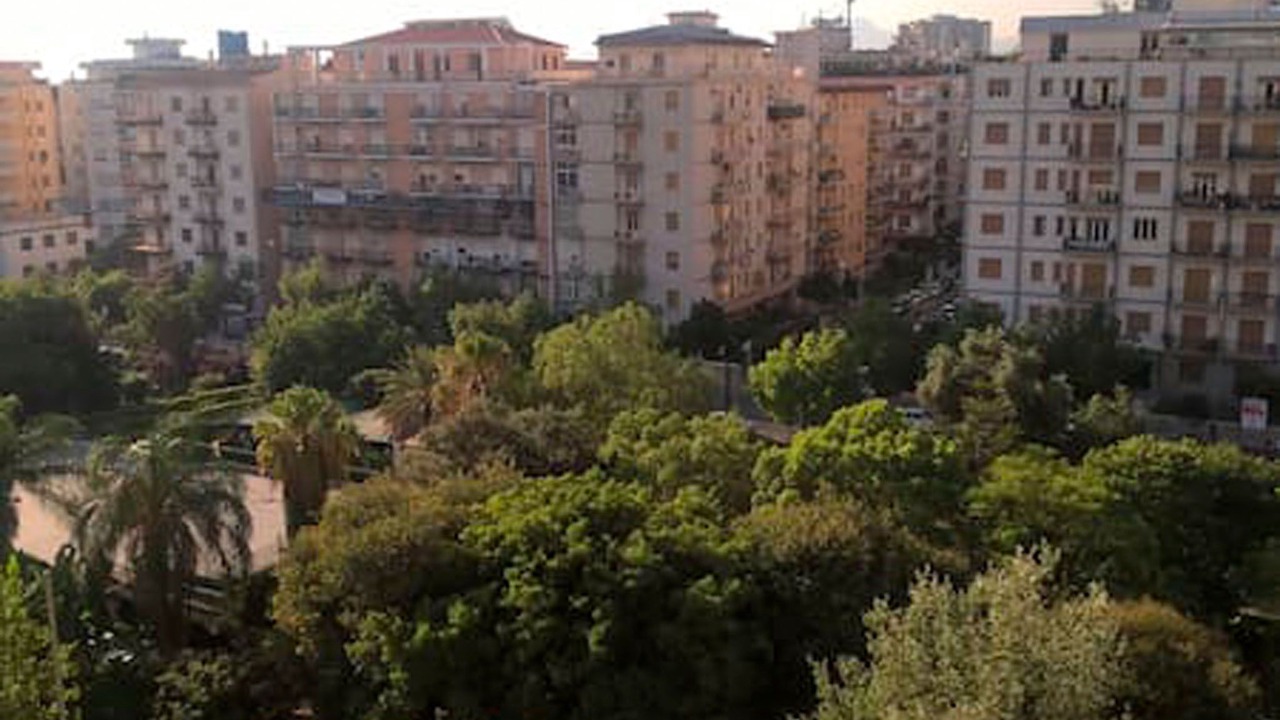 Photo of Others in Palermo