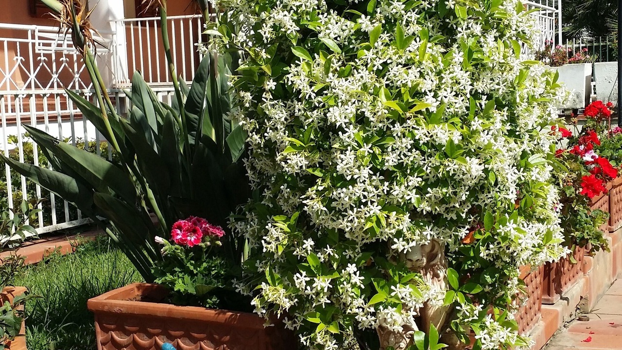 Photo of Outdoor in Palermo