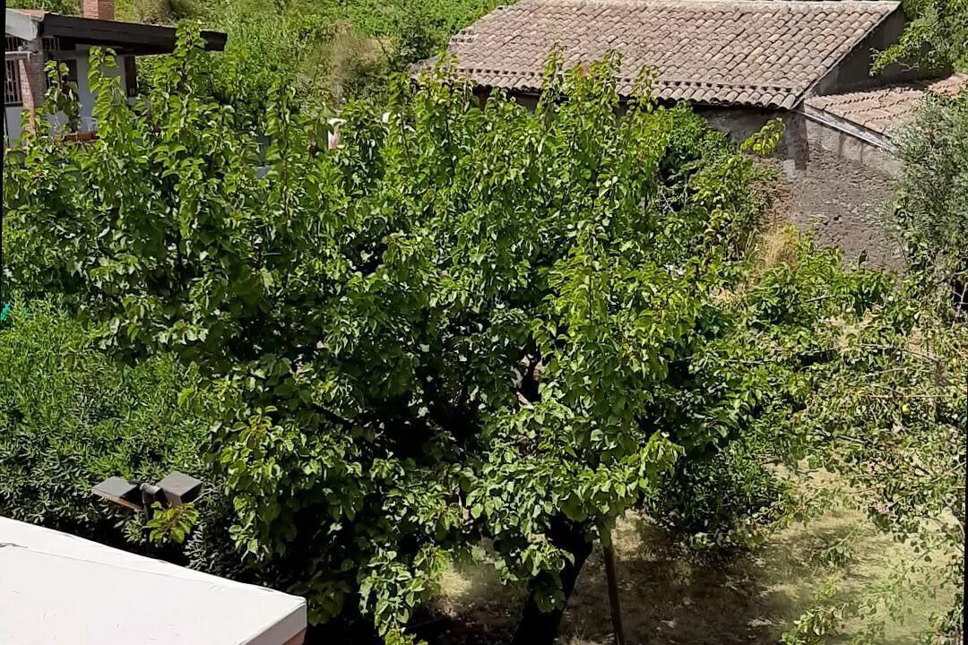 Photo of Others in Blandano