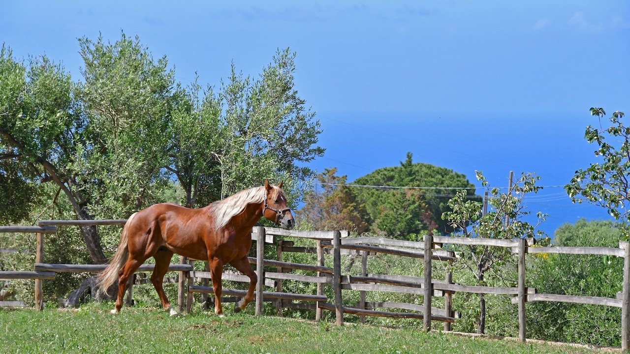 Photo of Outdoor in Collesano