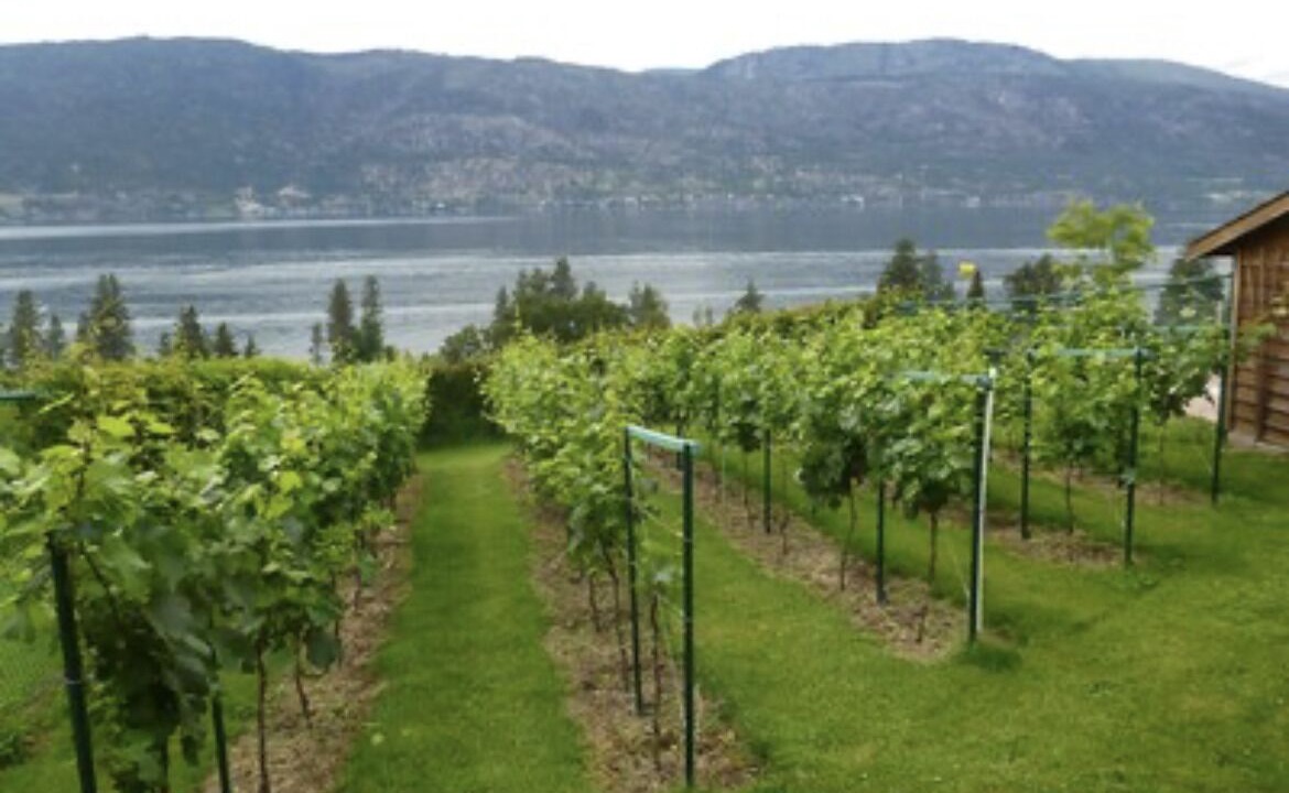 Photo of Outdoor in Okanagan Centre