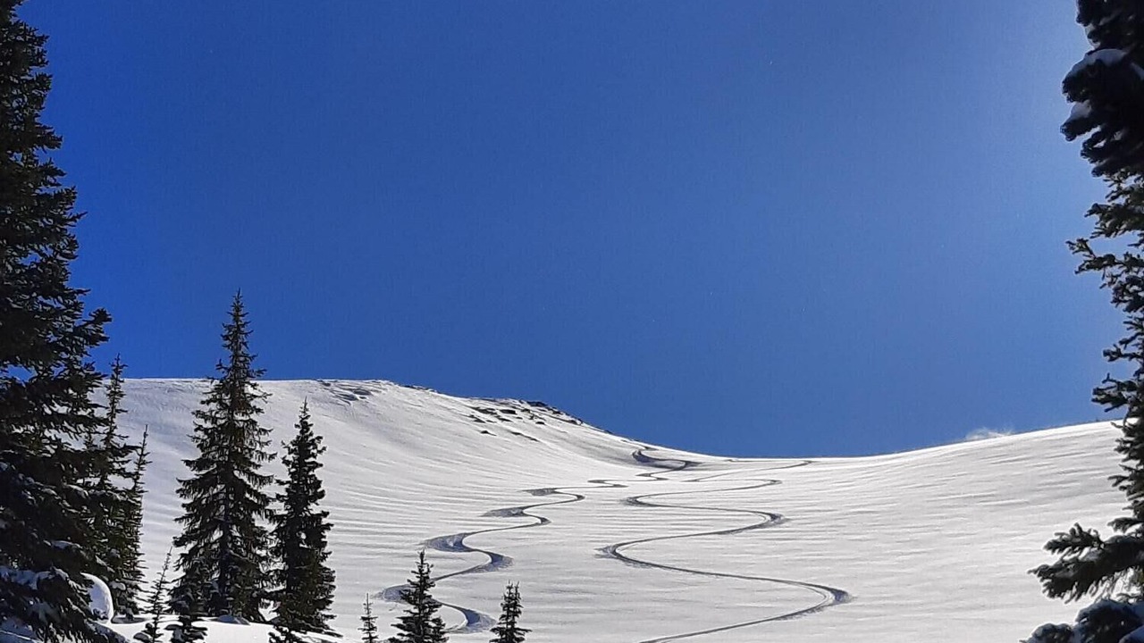 Photo of Others in Cougar Creek